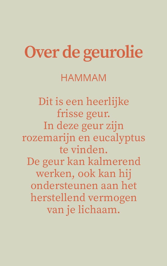 Sterrenbeeld kaars met edelstenen - Leeuw